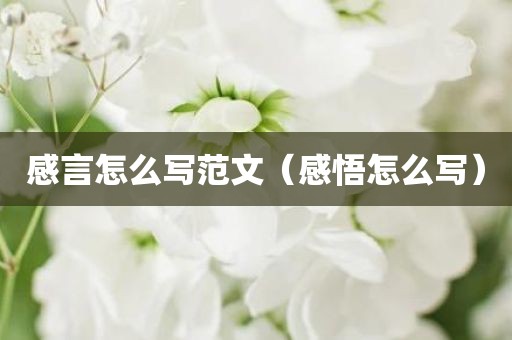 感言怎么写范文（感悟怎么写）