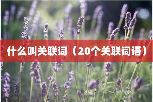 什么叫关联词（20个关联词语）