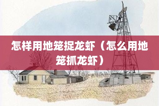 怎样用地笼捉龙虾(怎么用地笼抓龙虾)