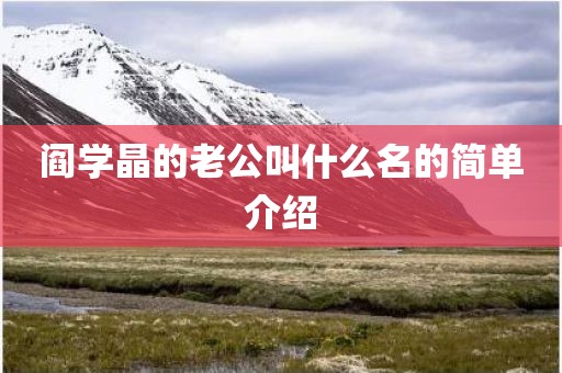 阎学晶的老公叫什么名的简单介绍