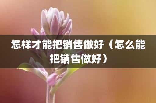 怎样才能把销售做好（怎么能把销售做好）