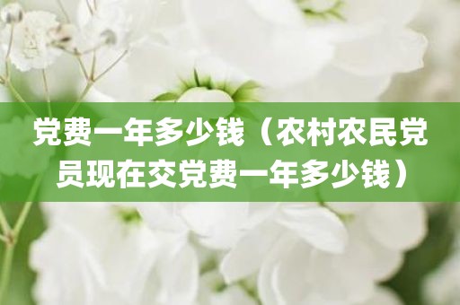 党费一年多少钱（农村农民党员现在交党费一年多少钱）
