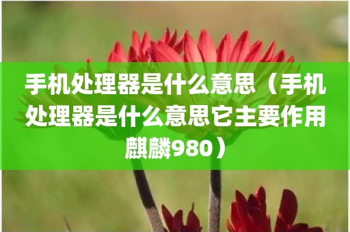 手机处理器是什么意思（手机处理器是什么意思它主要作用麒麟980）