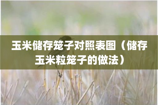 玉米储存笼子对照表图（储存玉米粒笼子的做法）