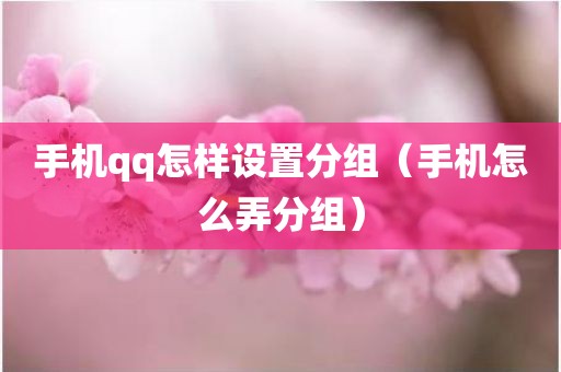 手机qq怎样设置分组（手机怎么弄分组）