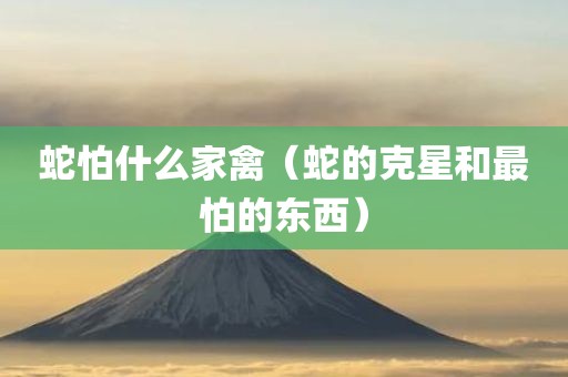 蛇怕什么家禽（蛇的克星和最怕的东西）