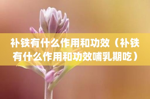 补铁有什么作用和功效（补铁有什么作用和功效哺乳期吃）