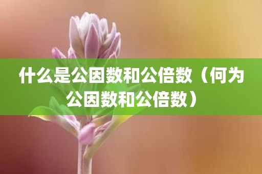 什么是公因数和公倍数（何为公因数和公倍数）
