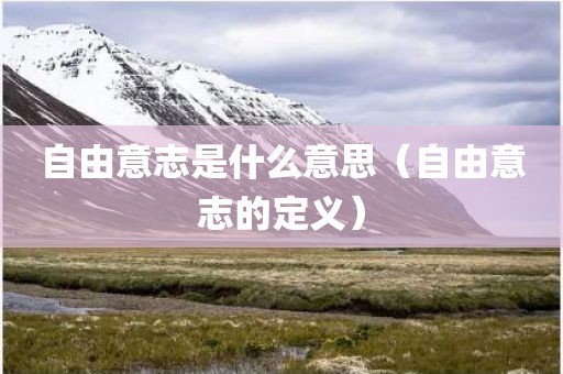 自由意志是什么意思（自由意志的定义）