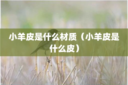 小羊皮是什么材质（小羊皮是什么皮）