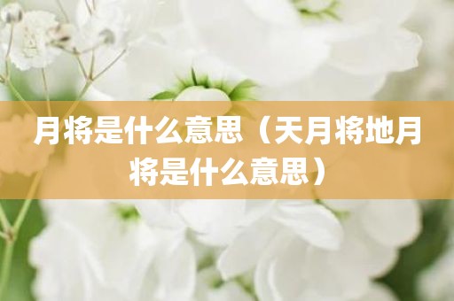 月将是什么意思（天月将地月将是什么意思）