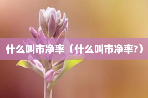 什么叫市净率（什么叫市净率?）