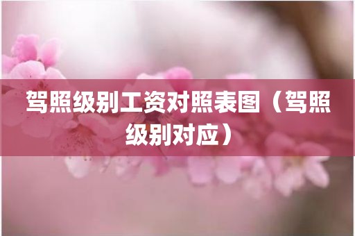 驾照级别工资对照表图（驾照级别对应）