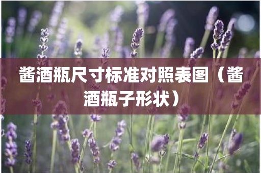 酱酒瓶尺寸标准对照表图（酱酒瓶子形状）
