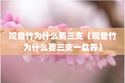 观音竹为什么要三支（观音竹为什么要三支一盆养）