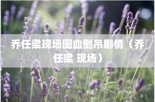 乔任梁现场图血倒吊剧情（乔任梁 现场）