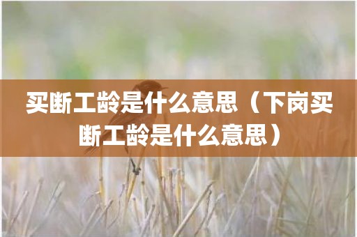买断工龄是什么意思（下岗买断工龄是什么意思）