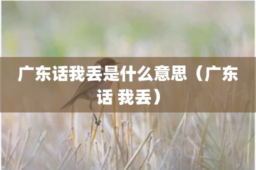 广东话我丢是什么意思（广东话 我丢）