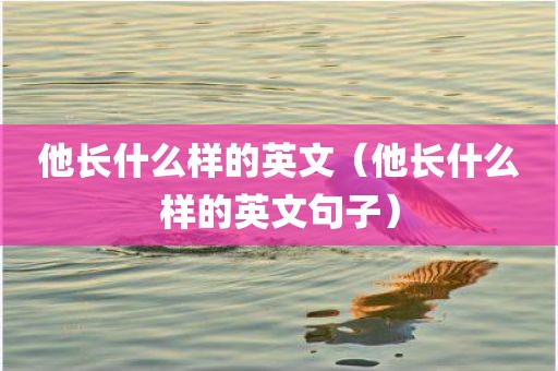 他长什么样的英文（他长什么样的英文句子）