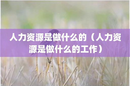 人力资源是做什么的（人力资源是做什么的工作）