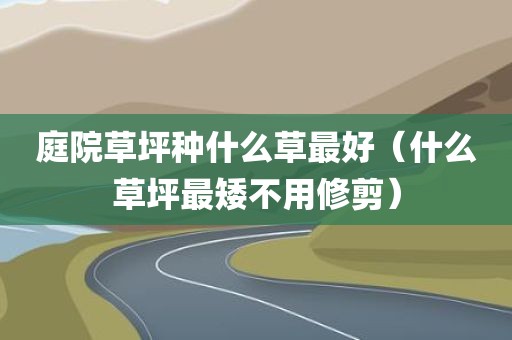 庭院草坪种什么草最好（什么草坪最矮不用修剪）