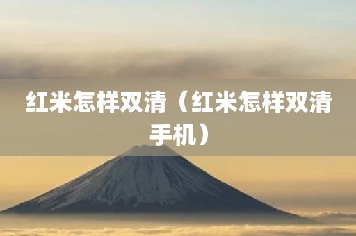 红米怎样双清（红米怎样双清手机）