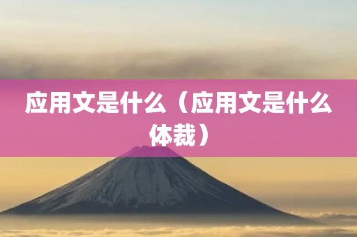 应用文是什么（应用文是什么体裁）