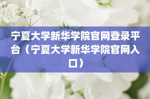 宁夏大学新华学院官网登录平台（宁夏大学新华学院官网入口）