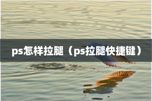ps怎样拉腿（ps拉腿快捷键）