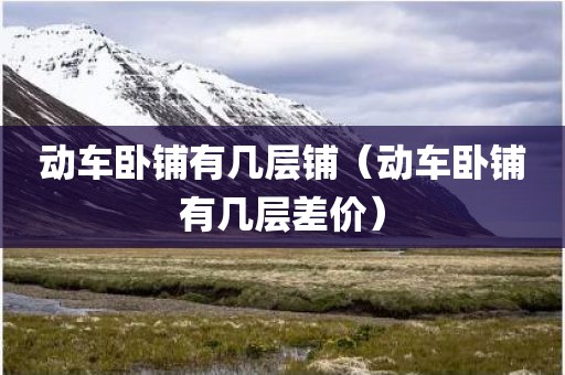 动车卧铺有几层铺（动车卧铺有几层差价）