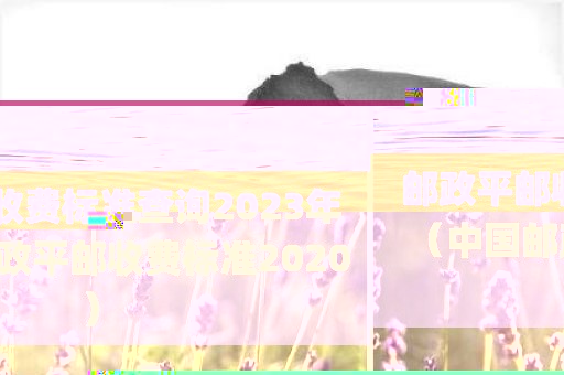 邮政平邮收费标准查询2023年（中国邮政平邮收费标准2020）
