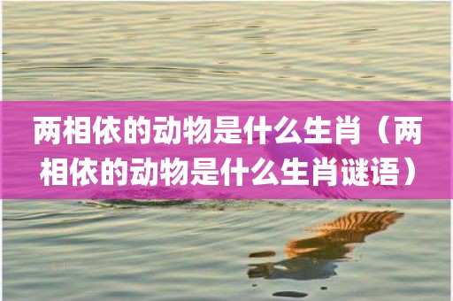 两相依的动物是什么生肖（两相依的动物是什么生肖谜语）