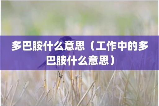 多巴胺什么意思（工作中的多巴胺什么意思）