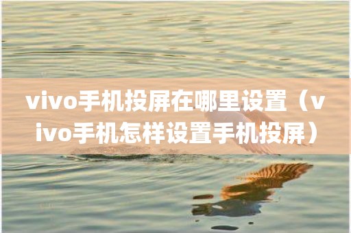 vivo手机投屏在哪里设置（vivo手机怎样设置手机投屏）