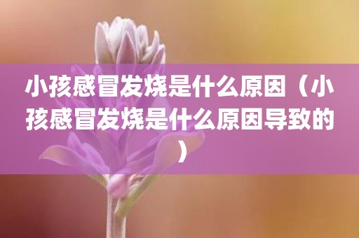 小孩感冒发烧是什么原因（小孩感冒发烧是什么原因导致的）