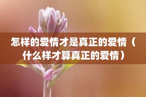 怎样的爱情才是真正的爱情（什么样才算真正的爱情）