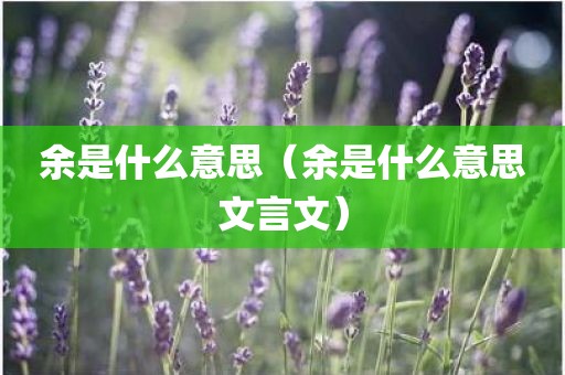 余是什么意思（余是什么意思文言文）