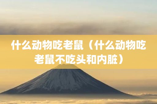 什么动物吃老鼠(什么动物吃老鼠不吃头和内脏)