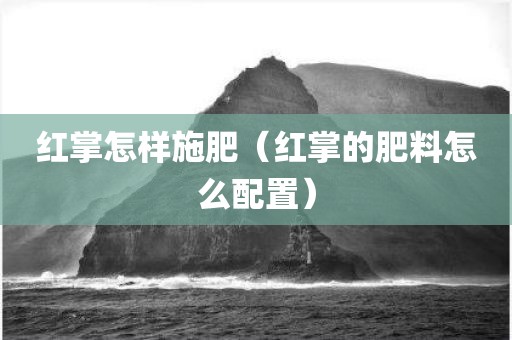 红掌怎样施肥（红掌的肥料怎么配置）