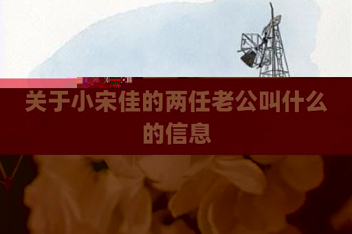 关于小宋佳的两任老公叫什么的信息