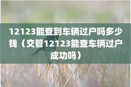 12123能查到车辆过户吗多少钱（交管12123能查车辆过户成功吗）