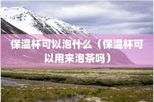 保温杯可以泡什么（保温杯可以用来泡茶吗）