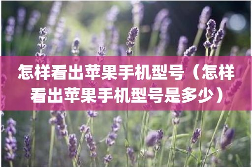 怎样看出苹果手机型号（怎样看出苹果手机型号是多少）