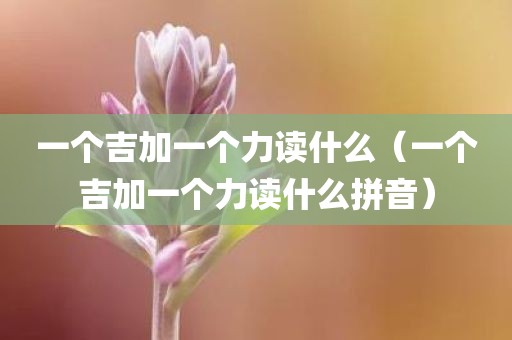 一个吉加一个力读什么（一个吉加一个力读什么拼音）