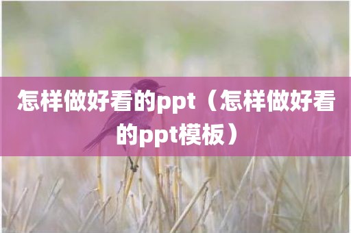 怎样做好看的ppt（怎样做好看的ppt模板）
