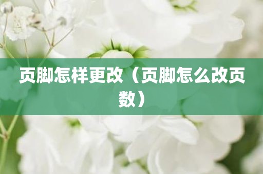 页脚怎样更改（页脚怎么改页数）