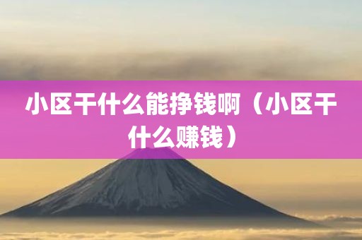 小区干什么能挣钱啊（小区干什么赚钱）