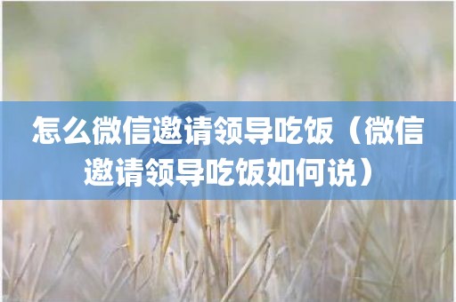 怎么微信邀请领导吃饭（微信邀请领导吃饭如何说）