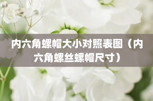 内六角螺帽大小对照表图（内六角螺丝螺帽尺寸）