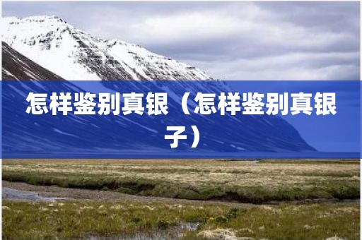 怎样鉴别真银（怎样鉴别真银子）